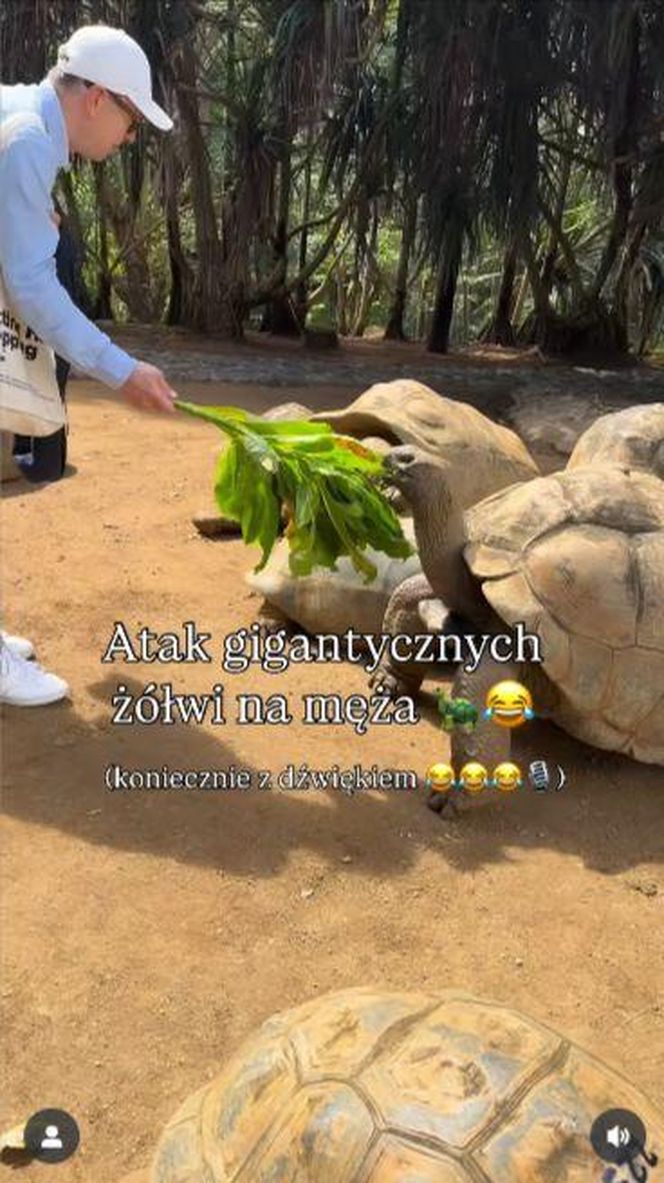 Maciej Orłoś, Paulina Orłoś