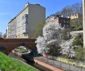 Biskupia Górka w Gdańsku po rewitalizacji za 90 mln zł