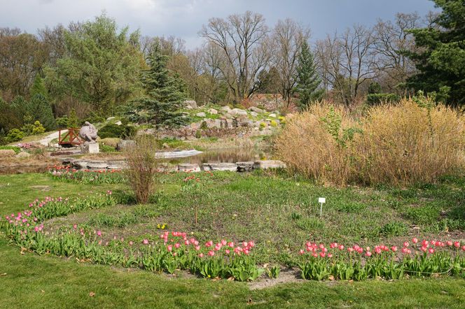 Ogród botaniczny Polskiej Akademii Nauk w Powsinie