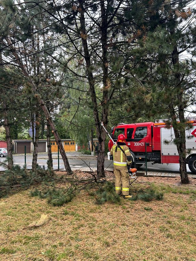 Bohaterscy strażacy z woj. łódzkiego. Sprawdź, ilu z nich ruszyło walczyć z powodzią 