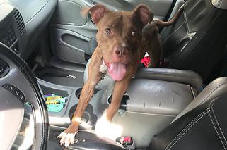 Uratowane przed śmiercią