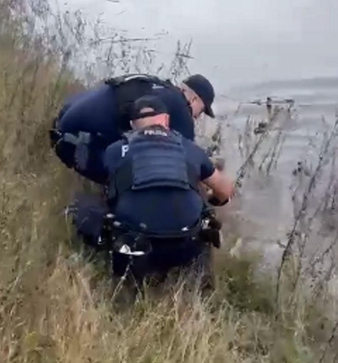 Policjanci uratowali tonącą sarenkę