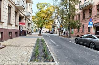 Jesienne nasadzenia w Lublinie