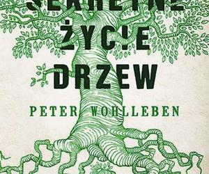 Sekretne życie drzew