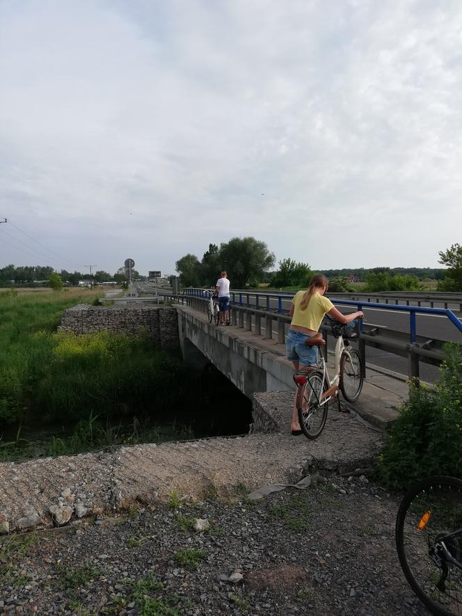 Kładka wzdłuż ciągu pieszo-rowerowego Jedlińsk-Wsola