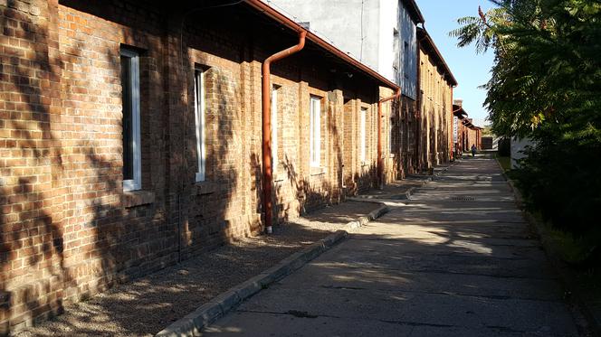 Festiwal Murali w Katowicach 