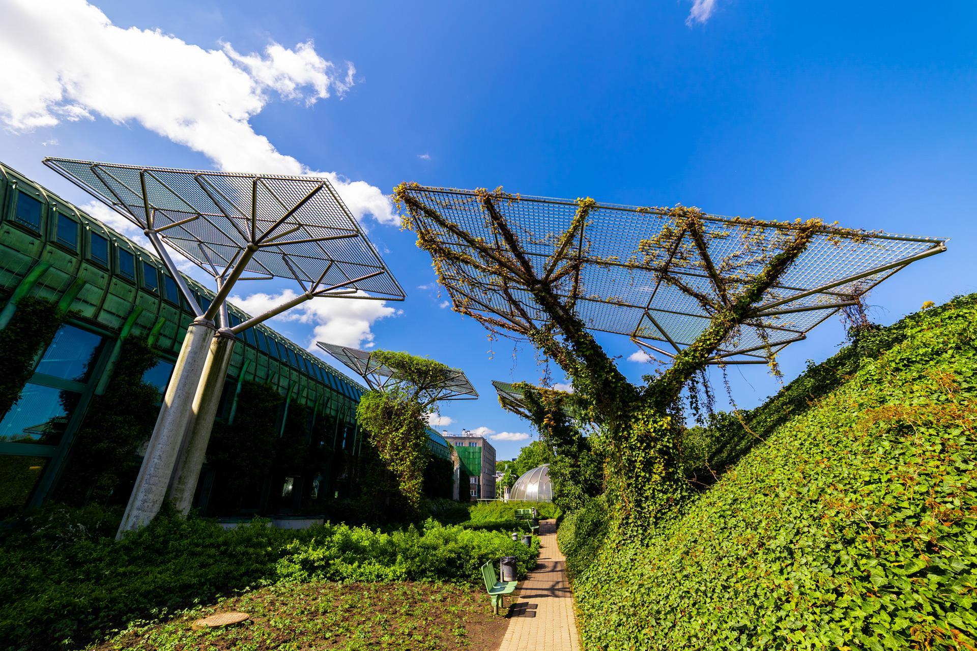 Biblioteka Uniwersytecka w Warszawie - zdjęcia. Zobacz postmodernistyczną ikonę, którą kiedyś uznawano za kicz