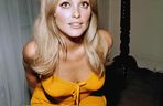 Ostatni dzień Sharon Tate. Rocznica zbrodni, która wstrząsnęła Hollywood
