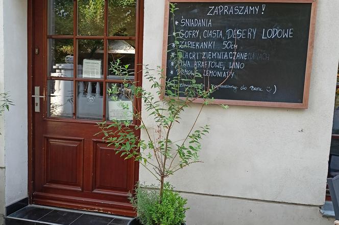 Kocimiętka, kawiarnia w Poznaniu. Tutaj możesz wypić kawę i adoptować kota
