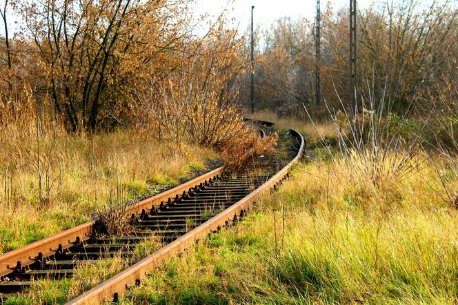 Kraśnik oraz Szastarka mogą uzyskać nowe połączenie kolejowe