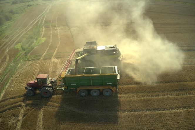 Ogromne gospodarstwo w warmińsko-mazurskim na sprzedaż. Było tam największe stado bizonów w Polsce