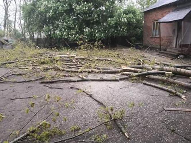 TRĄBA POWIETRZNA powietrzna w Łódzkiem. ZOBACZ Jakie szkody wywołał żywioł? [FOTO, WIDEO]