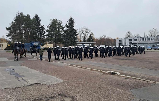 Atestacja koni służących w łódzkiej policji i straży miejskiej