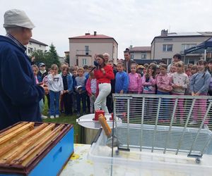 4. Miejskie Miodobranie w Zamościu