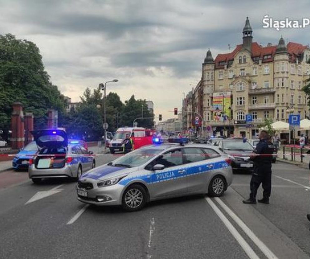 Tragedia w Katowicach. Śmierć 19-letniej Basi poprzedziła bójka.