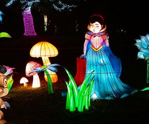 Garden of Lights w Szczecinie