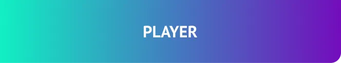 [vibefm.pl] player