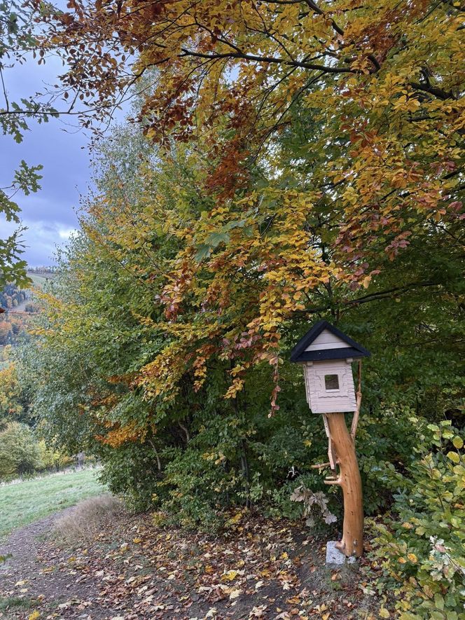 Szczyrk na jesiennych zdjęciach
