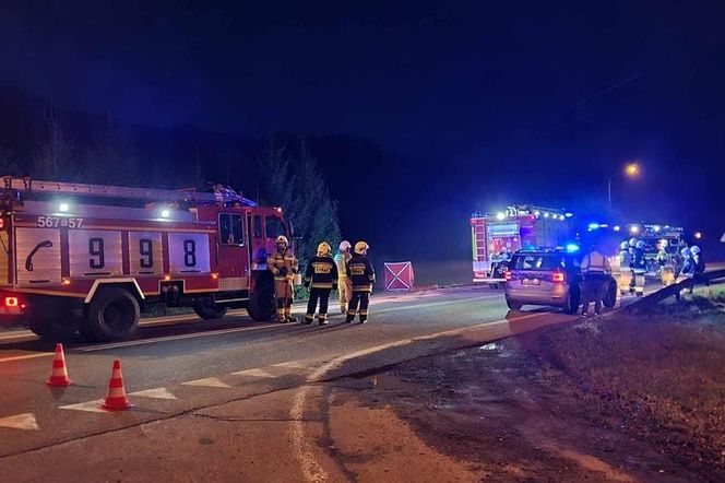 Podkarpackie. Śmiertelny wypadek na krajowej 19