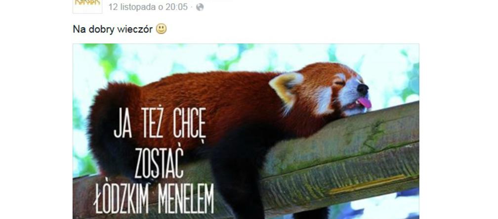 Jestem łódzkim menelem