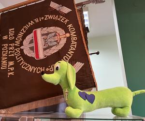 Katarzynki 2023. Zwiedzanie Muzeum MPK Poznań