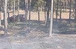 Pożar lasu pod Bydgoszczą! Z ogniem wlaczyło 6 zastępów straży pożarnej [ZDJĘCIA]