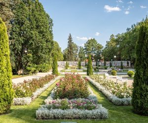 Białystok to nie tylko miasto! Sprawdź, jak dobrze znasz jego wybitne postaci