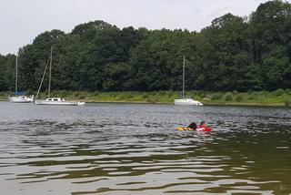 I Festiwal Psów Ratowniczych na plaży miejskiej w Żywcu