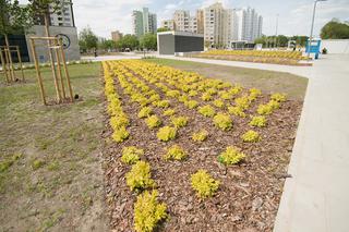 Koniec budowy metra na Targówku 