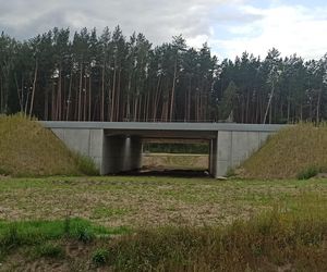 Postęp prac na węźle S19 Krynice-Białystok Zachód