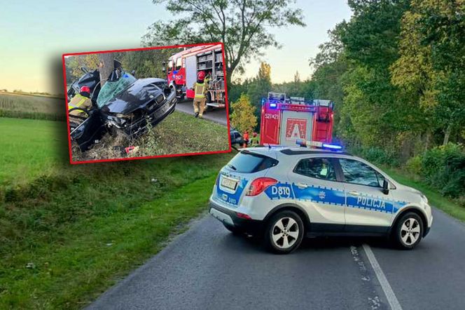 Tragiczny wypadek w Zalesiu. Nie żyje 23-letni kierowca BMW