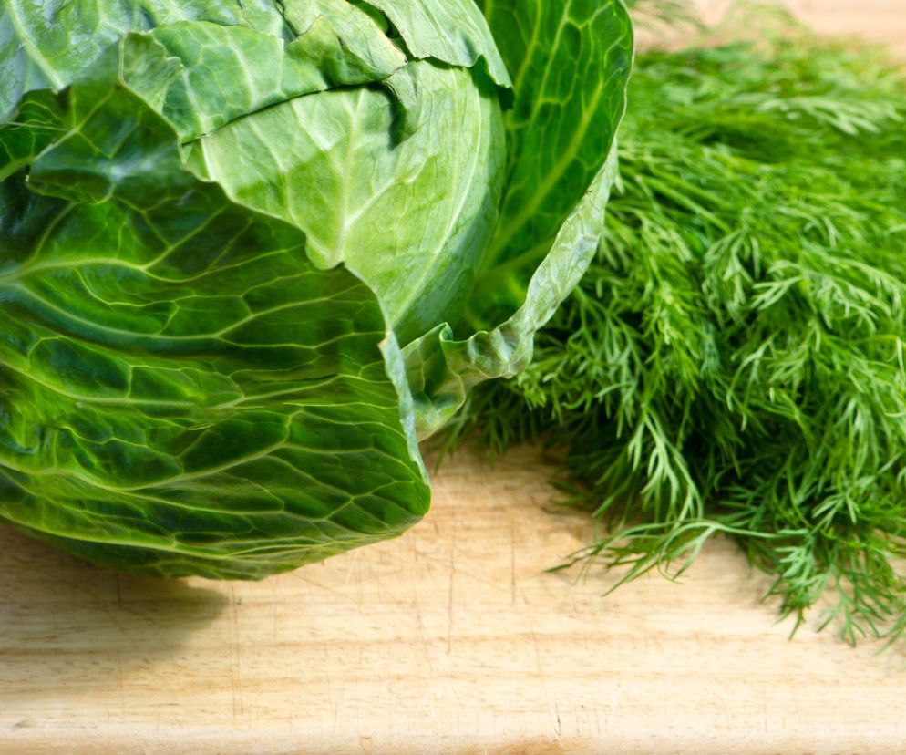 Młoda kapusta na śmietanie, z koperkiem – przepis na aksamitny klasyk w wiosennym wydaniu