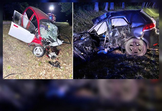 Śmiertelny wypadek pod Miliczem. 18-latek nie żyje [ZDJĘCIE]. 
