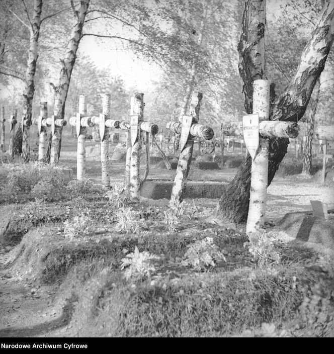 Cmentarze Powązkowskie - 1946-1963