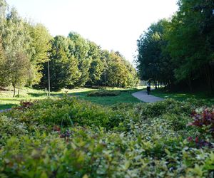 Filary porośnięte bluszczem w Lublinie! Tak się prezentują w jesiennej odsłonie