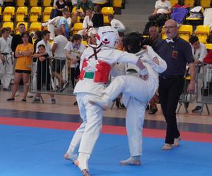 Turniej karate w Skarżysku - kwalifikacje do Mistrzostw Europy