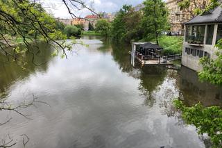 Pani Nina ratowała mężczyznę, który wpadł do fosy. Gapie wyciągnęli telefony i nagrywali 