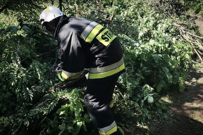 Żywioł nie odpuszcza. Prawie 900 zgłoszeń po gwałtownej pogodzie