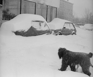 Tego Sylwestra ludzie zapamiętali na całe życie. Na przełomie 1978 i 1979 roku zaczęła się zima stulecia 