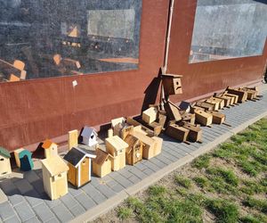 Przedszkolaki pomagają ptakom
