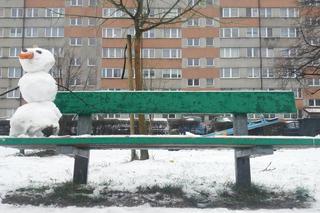 Zima na Popowicach we Wrocławiu. Bałwan znalazł dobre miejsce [ZDJĘCIE]