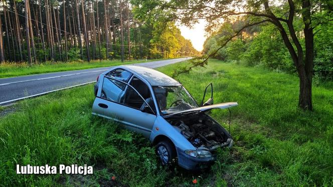 Lubuskie. 14-latek zepchnął radiowóz w czasie pościgu? Wziął mitsubishi brata i doprowadził do nieszczęścia [ZDJĘCIA]