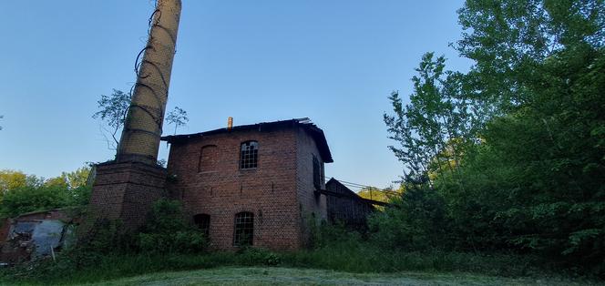 Tak wygląda dawna cegielnia w Broniszewie