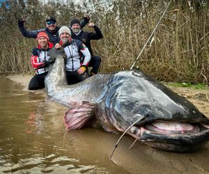 Krzysztof i Adrian złowili suma o długości 292 cm. To nowy rekord świata!