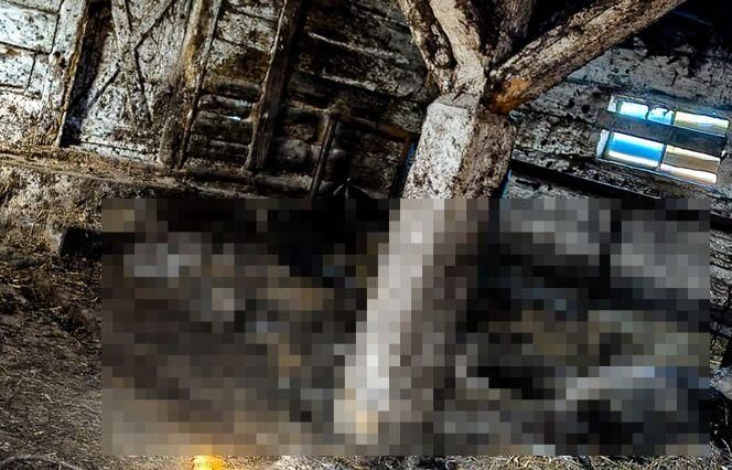 Piekło zwierząt w Idzbarku koło Ostródy. Gospodarz zatrzymany