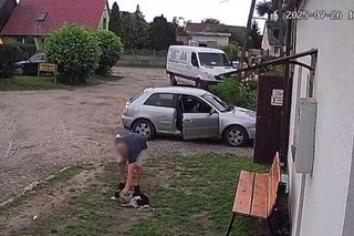 Złapał psa i rzucił nim o ziemię. Wstrząsające nagranie obiegło sieć