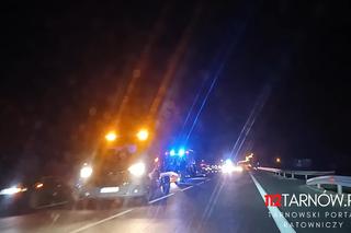 Dębno. Osobówka uderzyła w stado dzików na DK 94