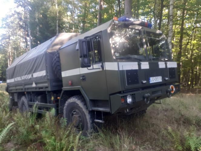 Bomby przeciwlotnicze pod Wągrowcem! Niezwykłe znalezisko w lesie