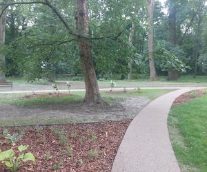 Park im. Szafera w Rzeszowie 