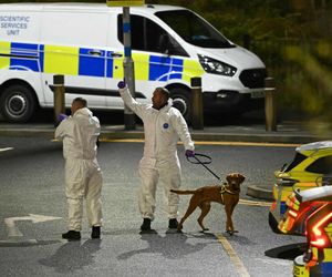 Rzeź w pociągu! Dziewięć osób walczy o życie